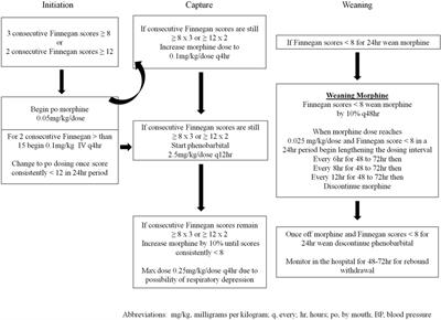 Decreasing Total Medication Exposure and Length of Stay While Completing Withdrawal for Neonatal Abstinence Syndrome during the Neonatal Hospital Stay